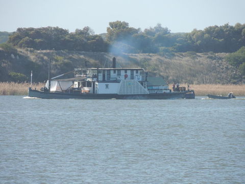 PS Federal Retreat Paddle Steamer Goolwa - QLD Tourism 10