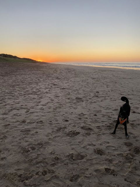 Goolwa Marinerâ€™s Cottage - Free Wifi And Pet Friendly - Centrally Located In Historic Region - QLD Tourism 27