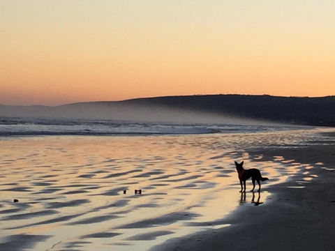 Goolwa Marinerâ€™s Cottage - Free Wifi And Pet Friendly - Centrally Located In Historic Region - QLD Tourism 35
