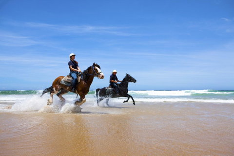 One Mile Retreat - QLD Tourism 26