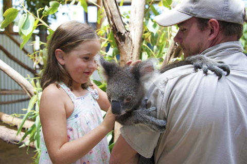 One Mile Retreat - QLD Tourism 16