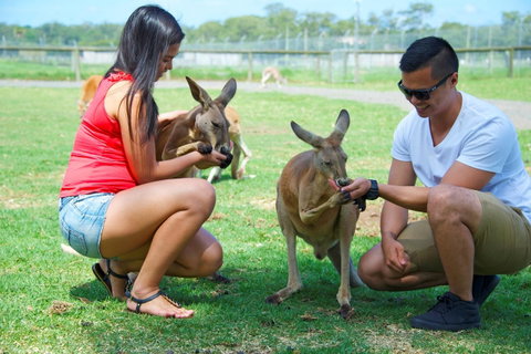 One Mile Retreat - QLD Tourism 25