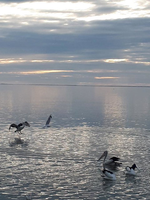 Meningie Waterfront Motel - QLD Tourism 24