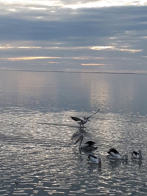 Meningie Waterfront Motel - QLD Tourism 25