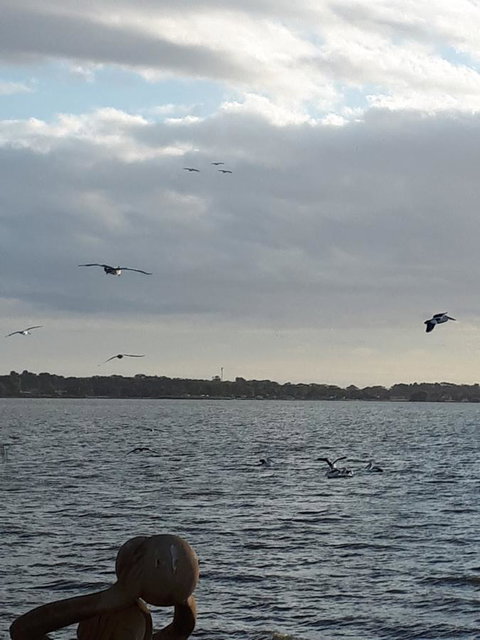 Meningie Waterfront Motel - QLD Tourism 34