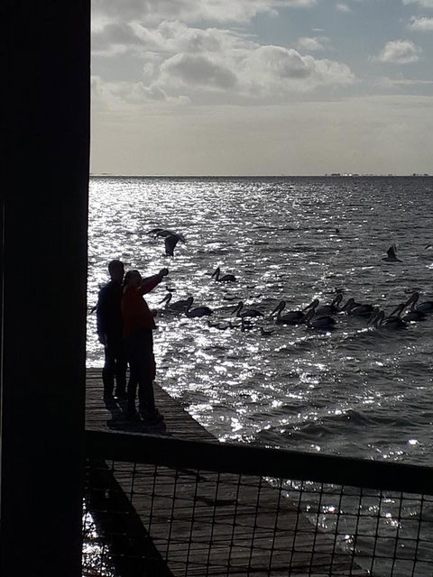 Meningie Waterfront Motel - QLD Tourism 27