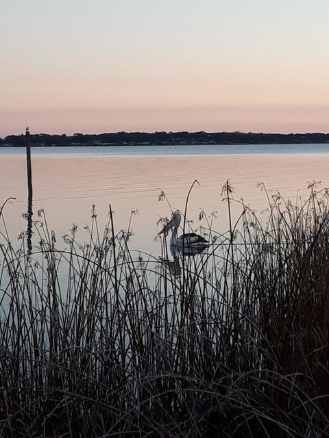 Meningie Waterfront Motel - QLD Tourism 8