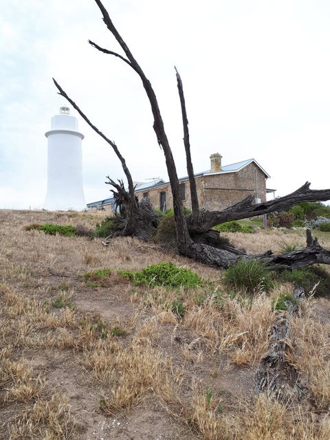 Meningie Waterfront Motel - QLD Tourism 37