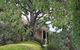 Langmeil Cottages - thumb 2