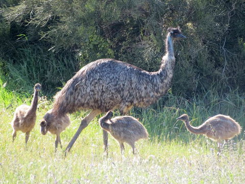 Edge Of Innes - QLD Tourism 13