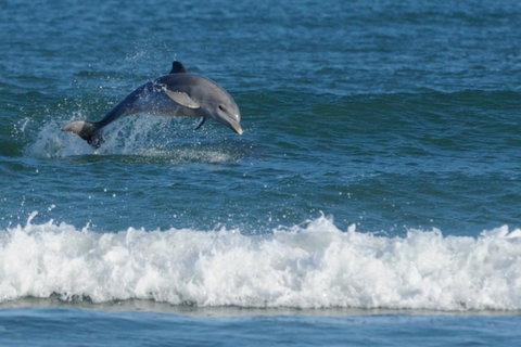 SummerHills Retreat Byron Bay - Queensland Tourism 25