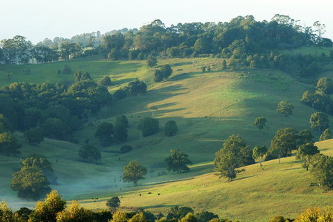 SummerHills Retreat Byron Bay - Queensland Tourism 20