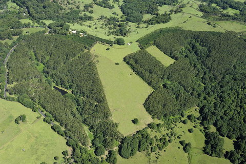 SummerHills Retreat Byron Bay - Queensland Tourism 19