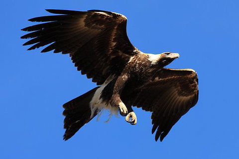 Eagles Range - QLD Tourism 16