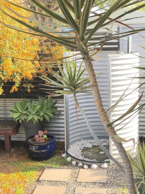 Milly\'s Middleton - Pet-friendly - Queensland Tourism 23