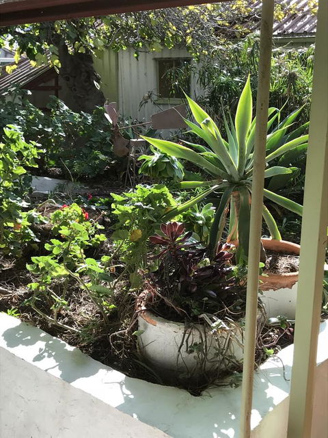 Cosy Nook - QLD Tourism 19