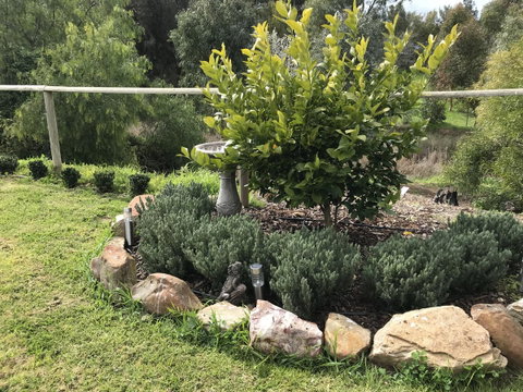 Adagio In Auburn - QLD Tourism 18
