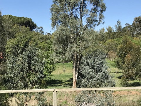 Adagio In Auburn - QLD Tourism 25