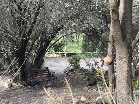 Adagio In Auburn - QLD Tourism 17