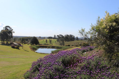 Beltana Villas - Queensland Tourism 7