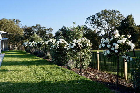 Beltana Villas - Queensland Tourism 2