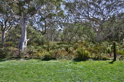 Wildwood I Pet Friendly I 5 Mins To Beach - QLD Tourism 17