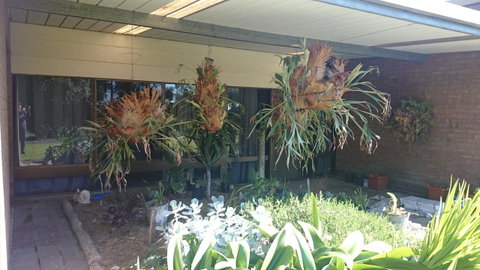 Hilltop Escape - QLD Tourism 11
