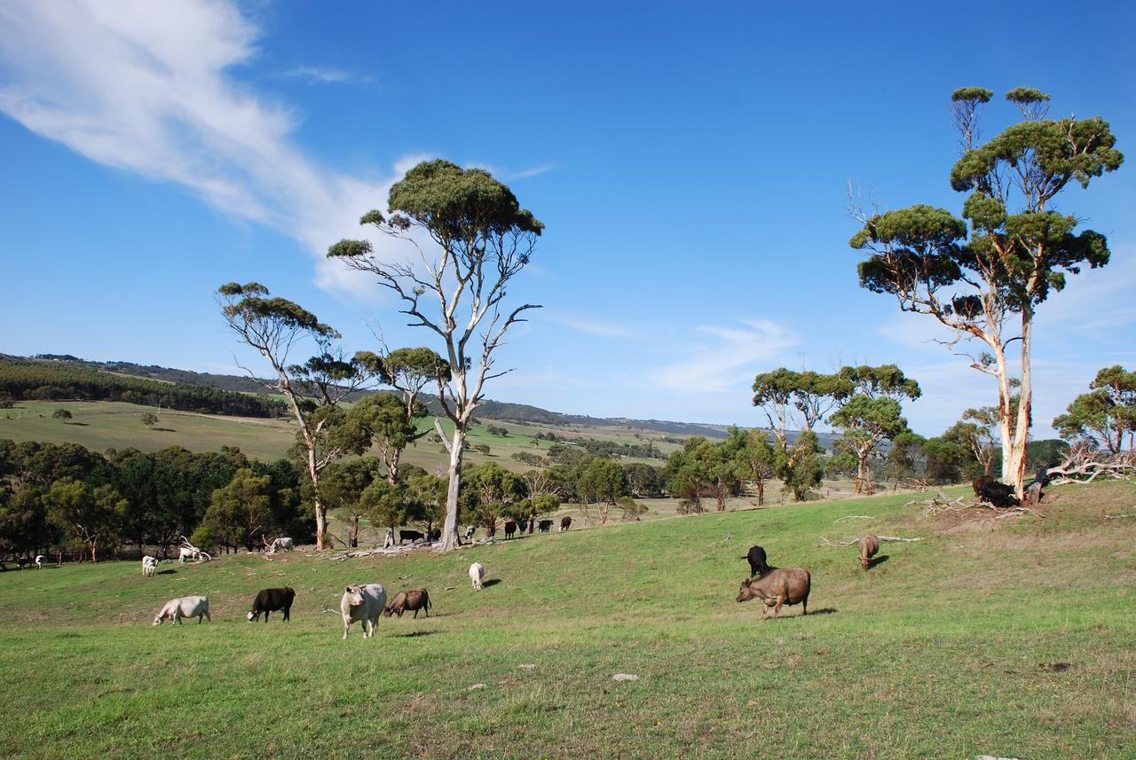 Back Valley SA QLD Tourism
