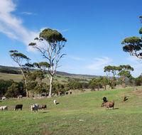 Lisieux Farm Bed and Breakfast - QLD Tourism