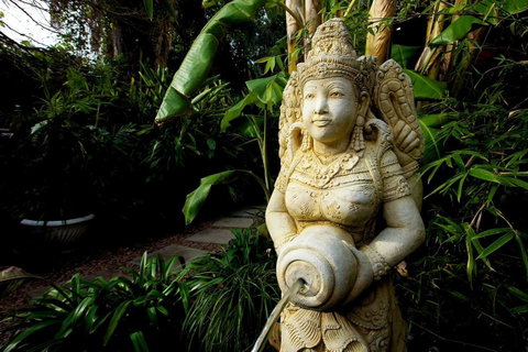 The Lotus Eater - QLD Tourism 18