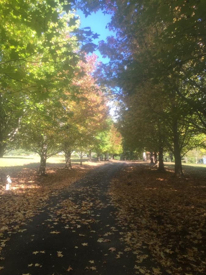 Bonville NSW QLD Tourism