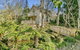 Aldgate Creek Cottage Bed And Breakfast - thumb 7