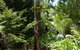 Aldgate Creek Cottage Bed And Breakfast - thumb 27