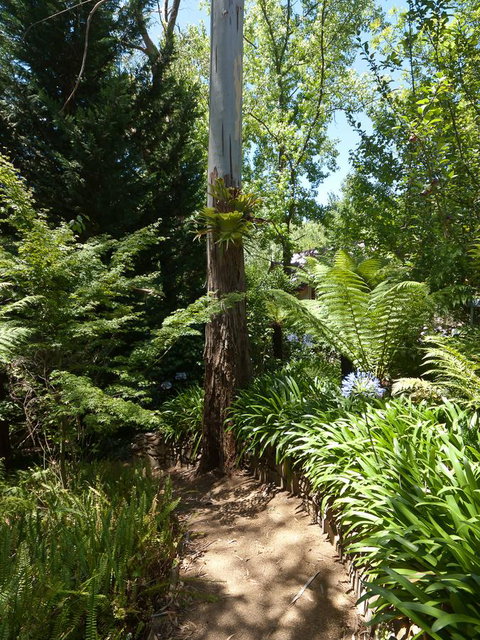 Aldgate Creek Cottage Bed And Breakfast - QLD Tourism 27