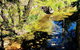 Aldgate Creek Cottage Bed And Breakfast - thumb 22