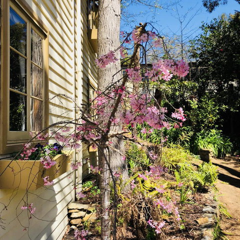 Aldgate Creek Cottage Bed And Breakfast - QLD Tourism 19