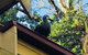 Aldgate Creek Cottage Bed And Breakfast - thumb 26