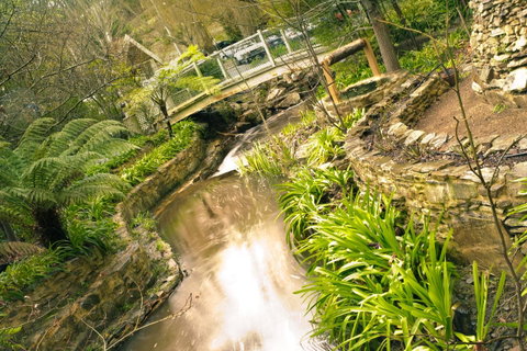 Aldgate Creek Cottage Bed And Breakfast - QLD Tourism 17