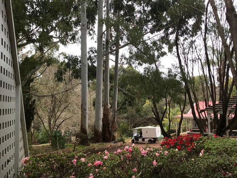 Forest Lodge Resort - QLD Tourism 11