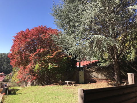 Forest Lodge Resort - QLD Tourism 42