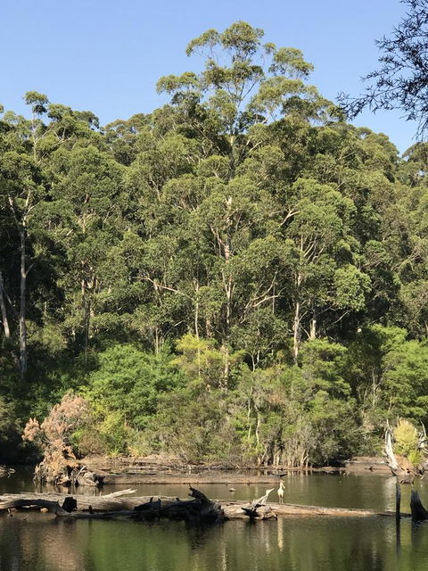 Forest Lodge Resort - QLD Tourism 22