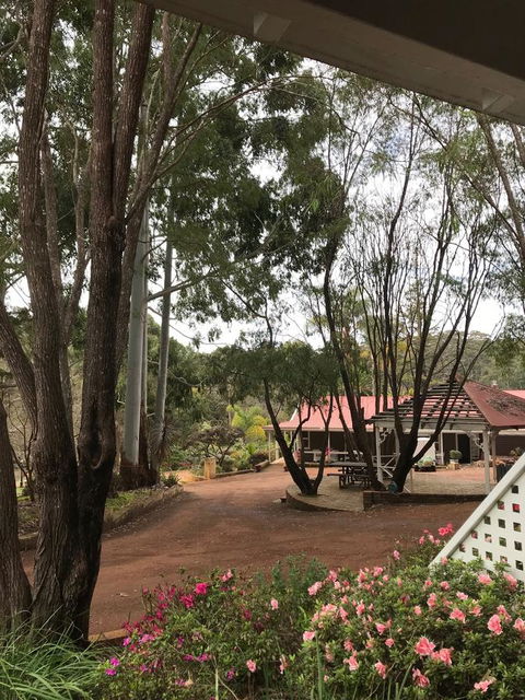 Forest Lodge Resort - QLD Tourism 9