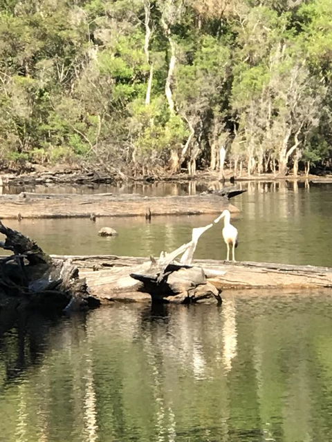Forest Lodge Resort - QLD Tourism 25
