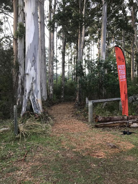 Forest Lodge Resort - QLD Tourism 28