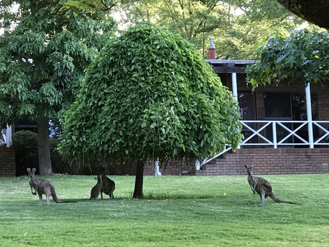 Forest Lodge Resort - QLD Tourism 1