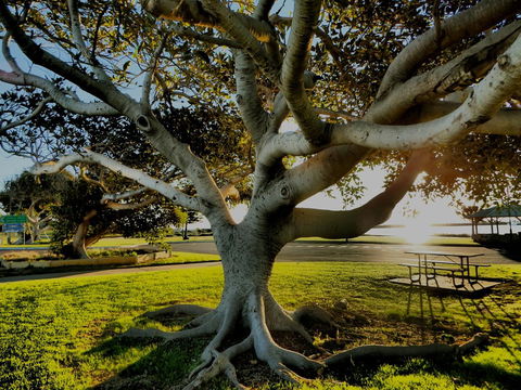Lazy Lobster Holiday Units & Chalets - Queensland Tourism 34