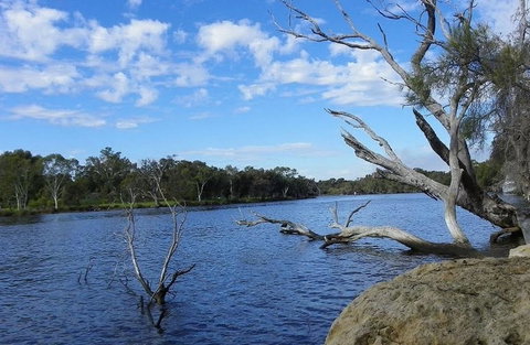 Ascot Comfort - Queensland Tourism 23