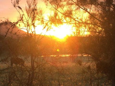 Grapevines Boutique Accommodation - Queensland Tourism 27