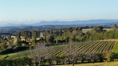 Grapevines Boutique Accommodation - Queensland Tourism 21