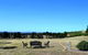 Grapevines Boutique Accommodation - thumb 18